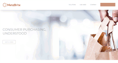 Desktop Screenshot of metabrite.com